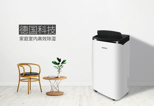 除濕機選購指南 詳解不同模式，找到最適合你的那一款